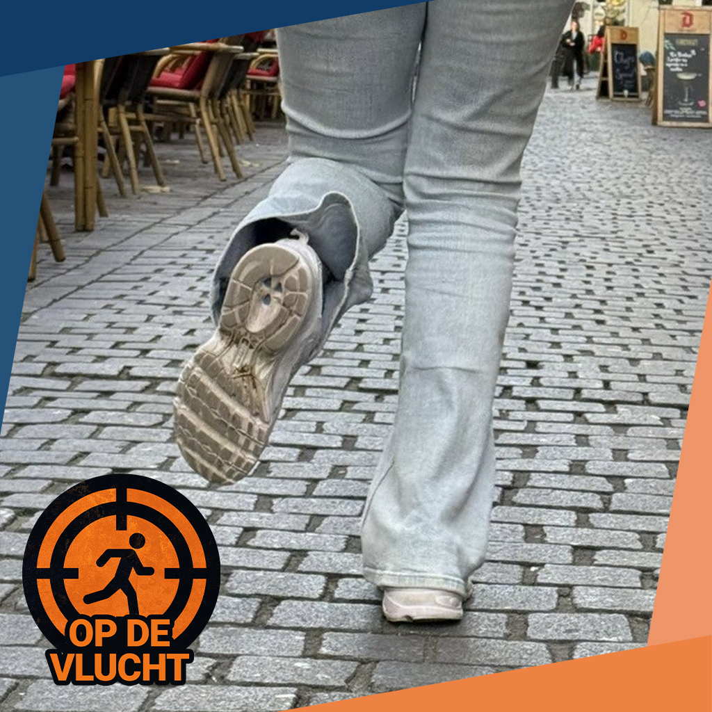 Op de vlucht – Citygame