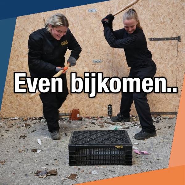 Smashroom – Dokkum