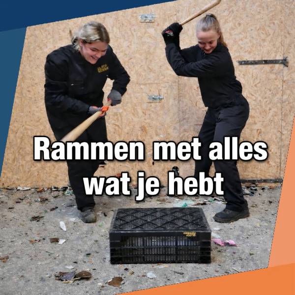 Smashroom – Dokkum